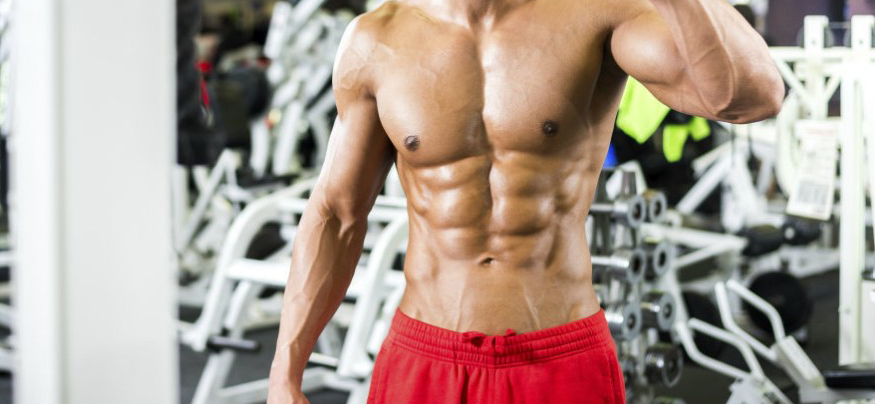 La importancia de las proteínas en el desarrollo muscular
